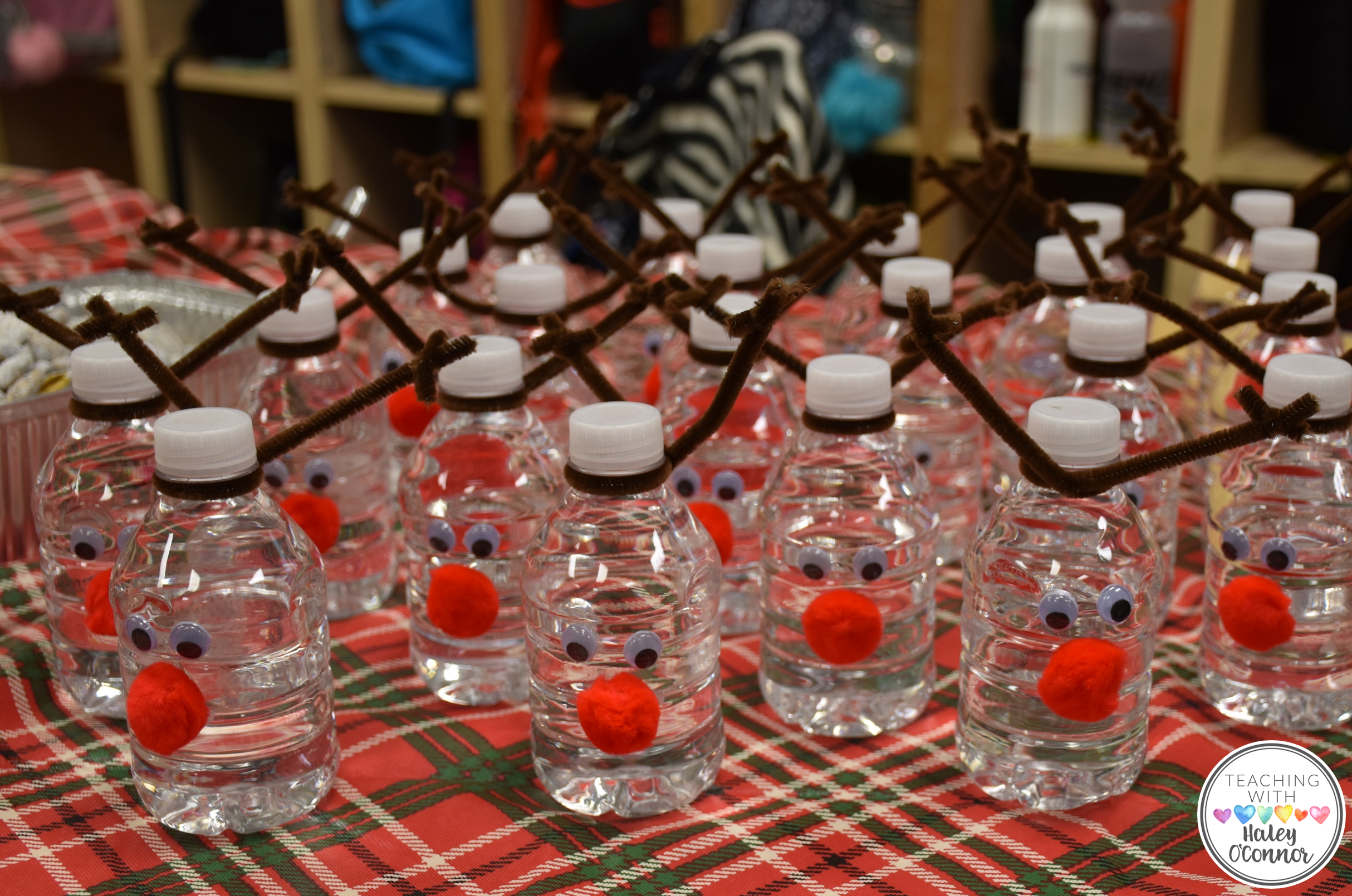 Reindeer Water Bottles