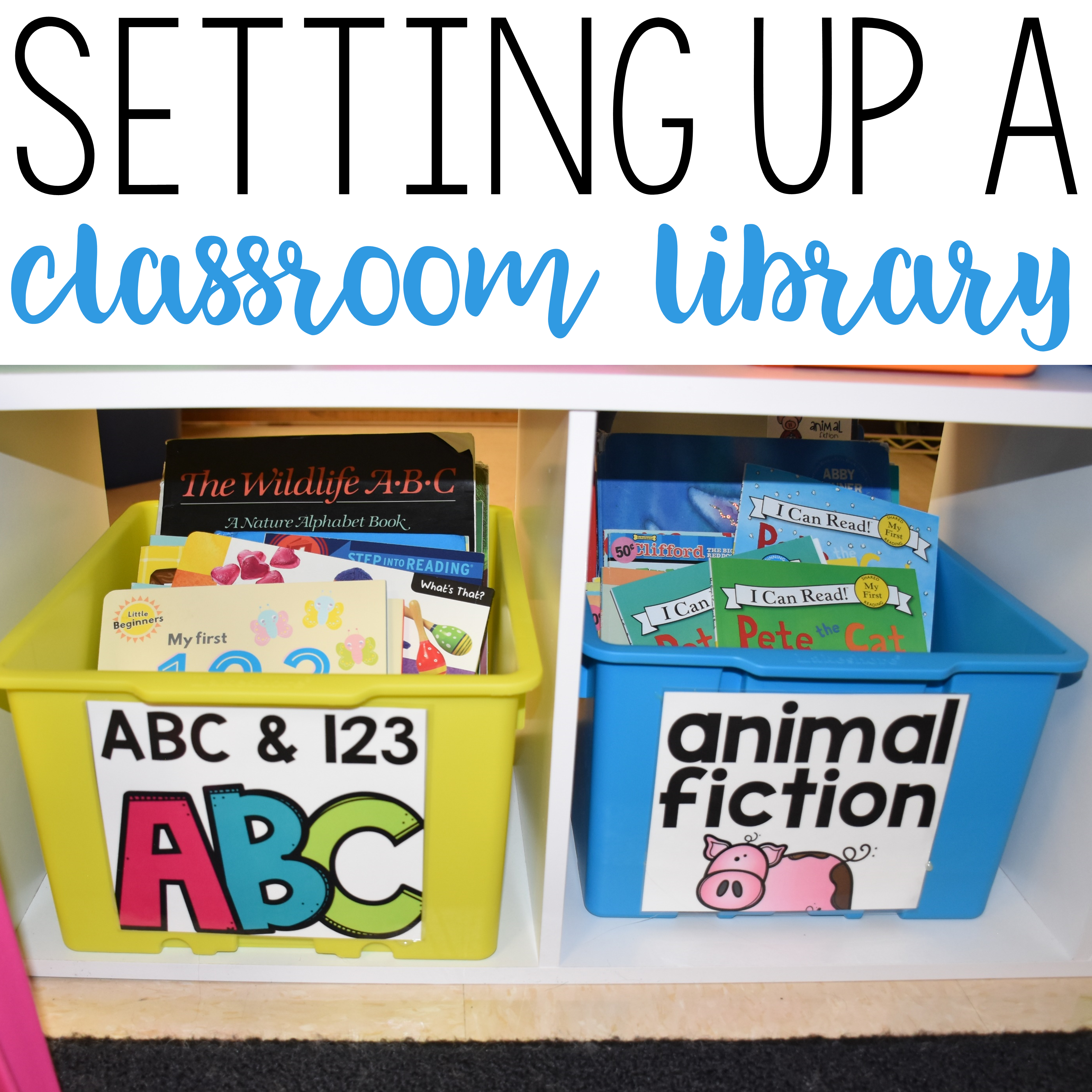 Setting Up a Classroom Library