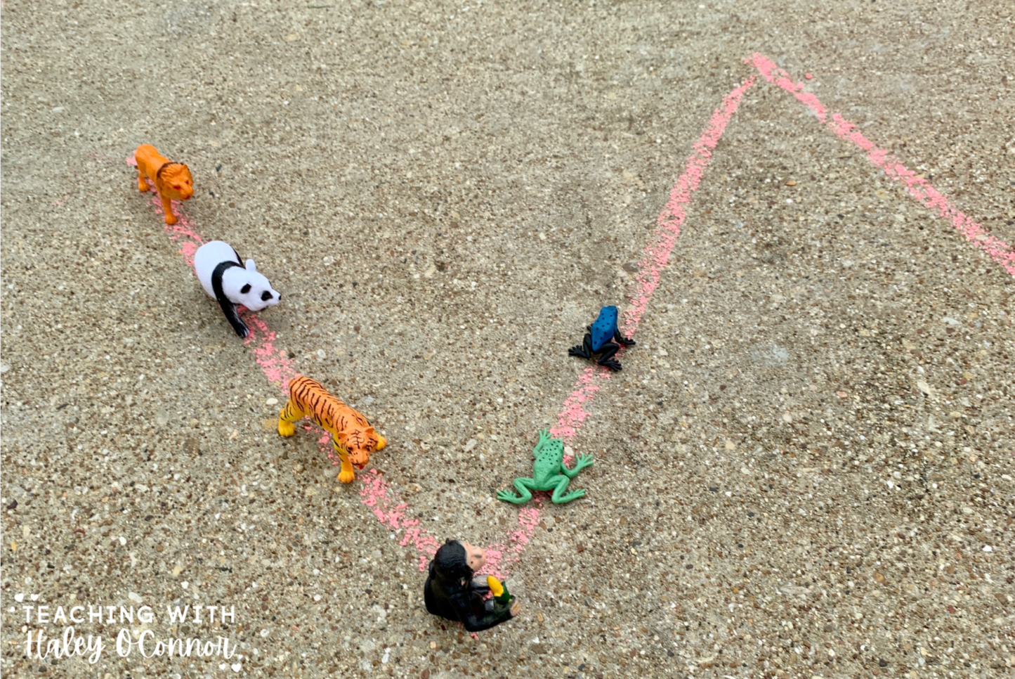 Learning with Chalk | Teaching With Haley O'Connor