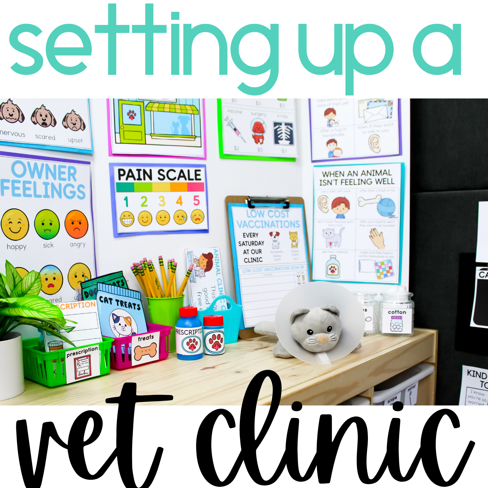 Setting up a dramatic play vet clinic